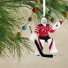 Hallmark NHL New York Rangers Goalie Christmas Ornament(Devils)