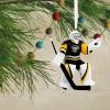 Hallmark NHL New York Rangers Goalie Christmas Ornament(Penguins)