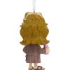 Hallmark The Big Lebowski The Dude Christmas Ornament(Big Lebowski)