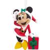 Minnie with Present