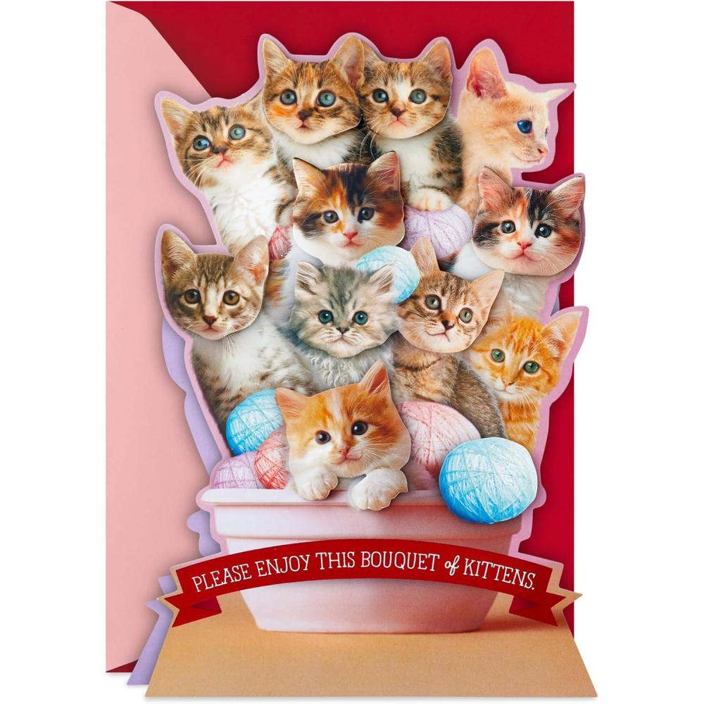 image:imageHallmark Funny Valentines Day Card Bouquet of KittensBouquet of Kittens