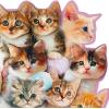 Hallmark Funny Valentine’s Day Card (Bouquet of Kittens)(Bouquet of Kittens)