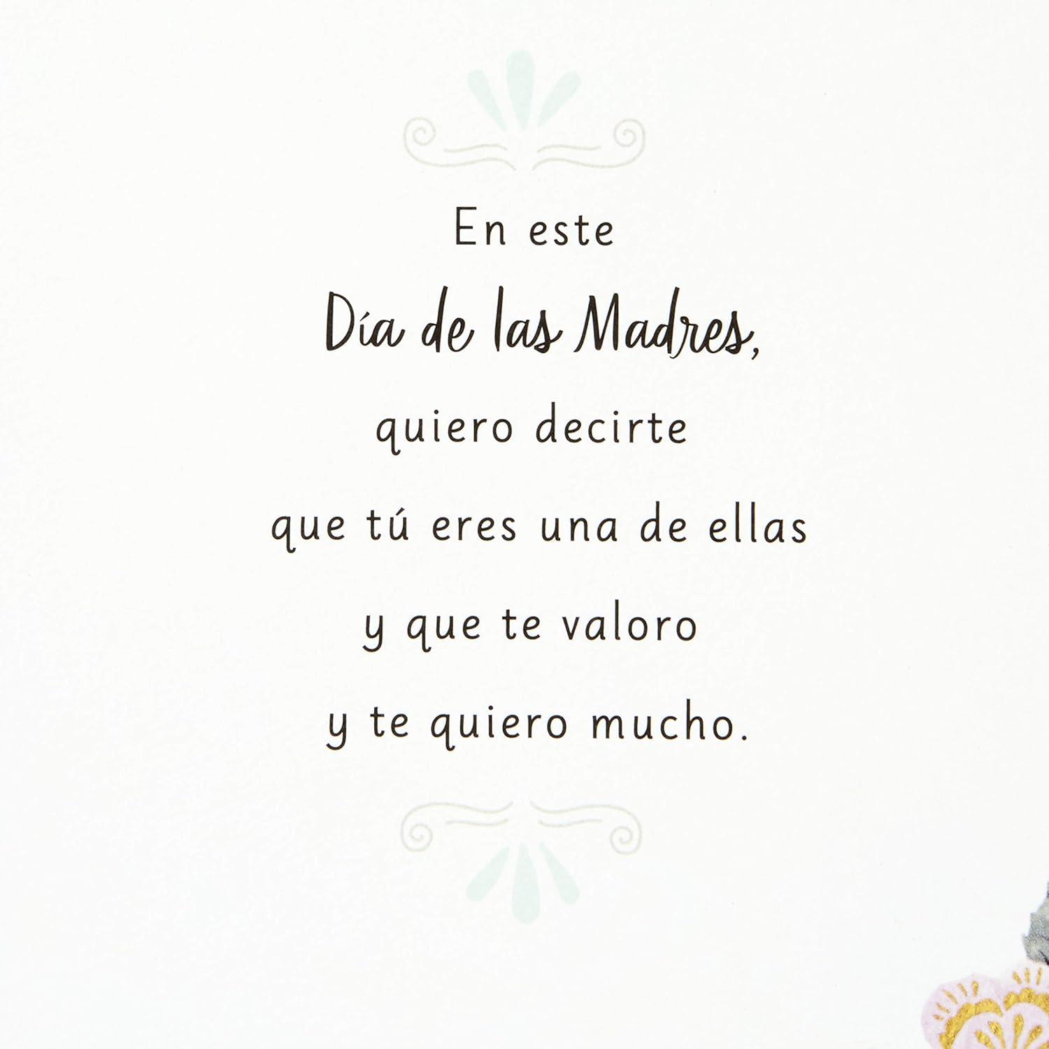 image:imageHallmark Vida Spanish Mothers Day Card For Someone Special Para Alguien Especial 559MBC1197