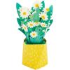 Hallmark Paper Wonder Mother’s Day Pop Up Card for Mom (Daisy Bouquet)(Pop Up  Daisy Bouquet for Mom)