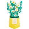 Hallmark Paper Wonder Mother’s Day Pop Up Card for Mom (Daisy Bouquet)(Pop Up  Daisy Bouquet for Mom)