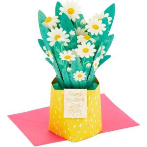 Hallmark Paper Wonder Mother’s Day Pop Up Card for Mom (Daisy Bouquet)(Pop Up  Daisy Bouquet for Mom)