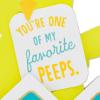 Hallmark Easter Card, My Favorite Peep (Die-Cut Baby Chick in Egg with Removable Mini Card) for Kids, Grandchildren, Friends, Family