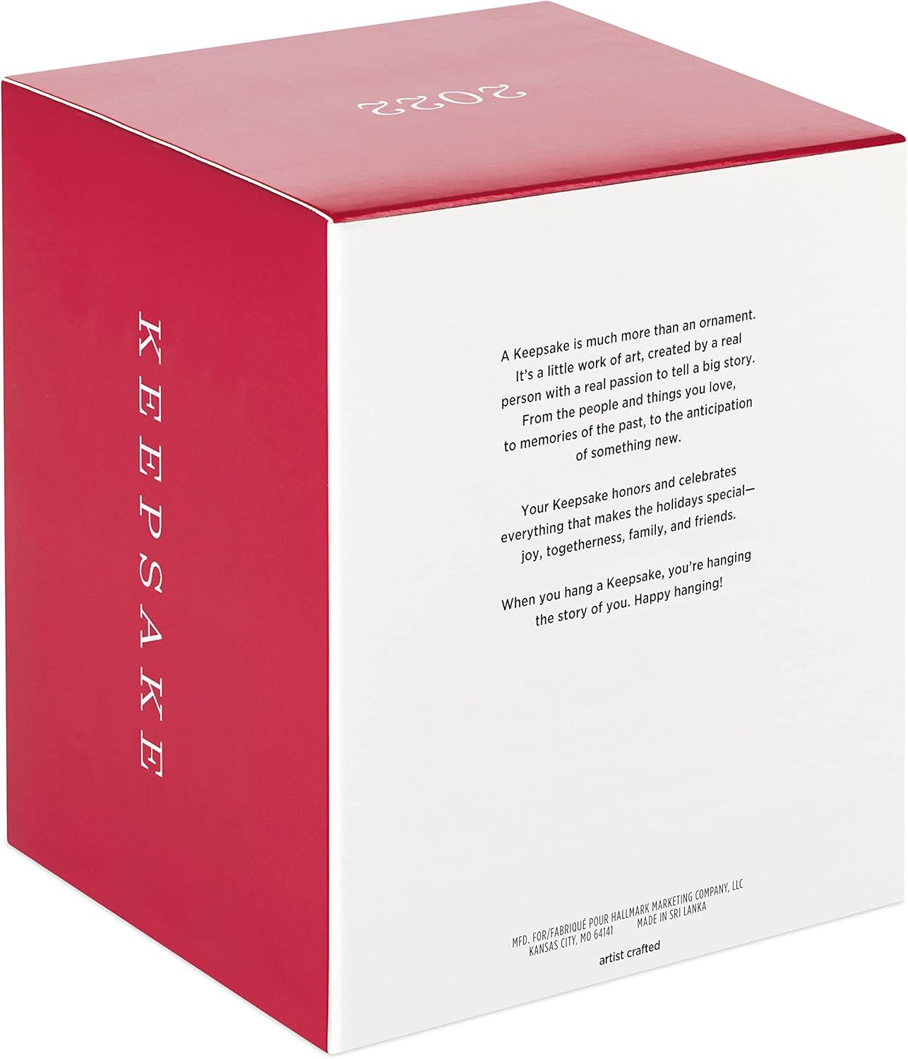 image:imageHallmark Keepsake Christmas Ornament 2025 Avatar The Last Airbender Aang Movie GiftsNeytiri and Seze