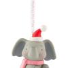 Hallmark Keepsake Christmas Ornament 2025, Baby Boy’s First Christmas Elephant 2025(Baby Girl’s First Christmas)