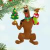 Hallmark Keepsake Christmas Ornament, Scooby-Doo Festive Scooby, Cartoon Gifts(Scooby-Doo Decorating Dog)