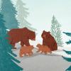 Hallmark Pop Up Fathers Day Card for Dad, Grandpa, Husband (Papa Bear)