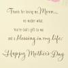Hallmark Religious Mothers Day Card for Mom (Just Like You) (659MBC1247)(Just Like You)