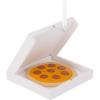 Hallmark Christmas Ornament, North Pole Pizza Ornament, Food Gifts(Pizza Box)