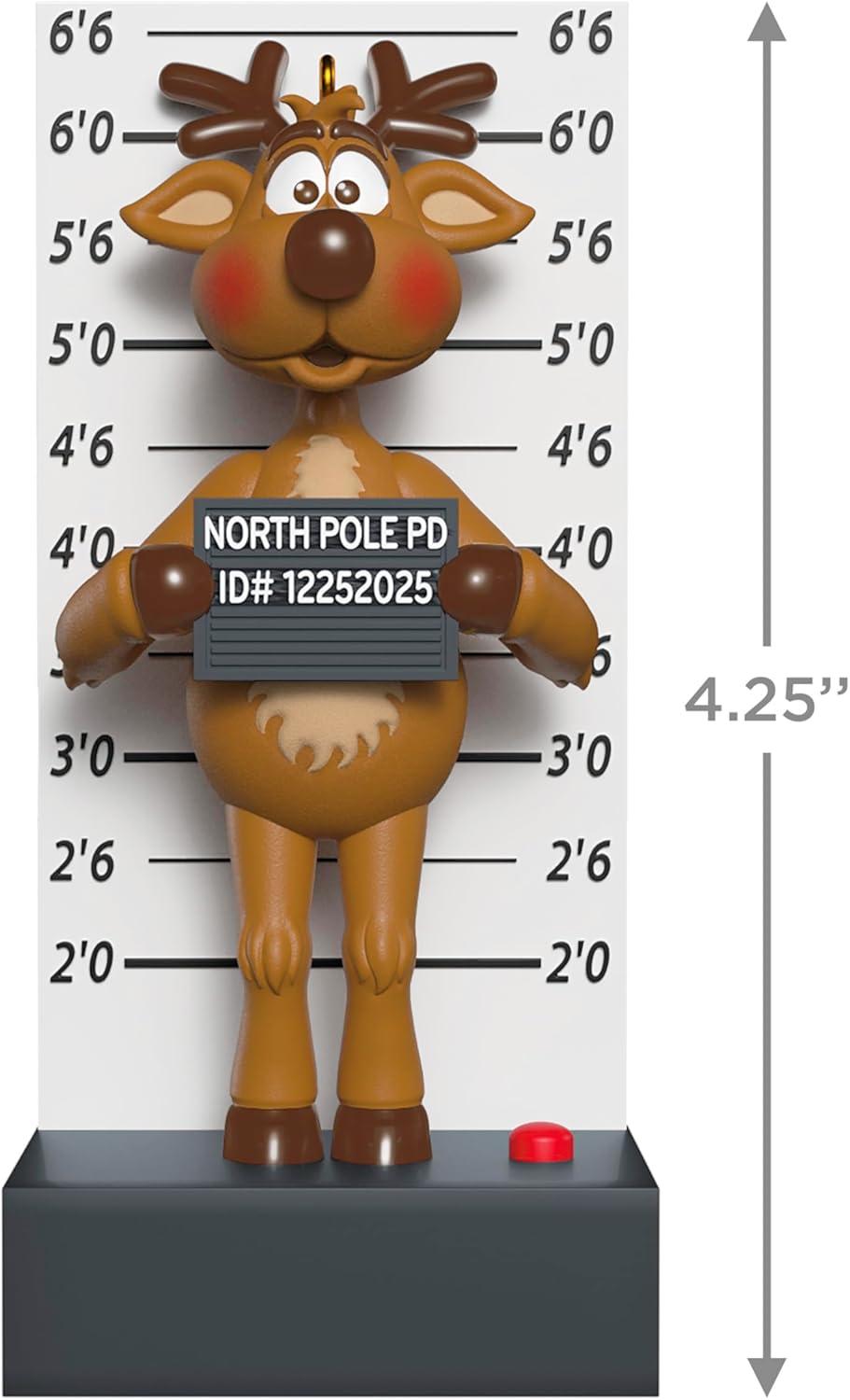 image:imageHallmark Keepsake Christmas Ornament Festive Feline Funny Gifts2025 Ornament