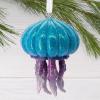 Hallmark Horse Jumping Christmas Ornament(Jellyfish)