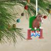 Hallmark Horse Jumping Christmas Ornament(Jumping Horse)