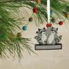 Hallmark Horse Jumping Christmas Ornament(Racoon Partners in Crime)