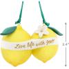Hallmark Keepsake Christmas Ornament 2023, Live Life With Zest, Lemon Ornament