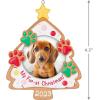 Hallmark Keepsake Christmas Ornament 2024, Pet’s Fur-st Christmas 2024 Photo Frame, Pet Gifts(2023 My Fur-st Christmas)