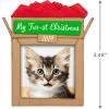 Hallmark Keepsake Christmas Ornament 2024, Pet’s Fur-st Christmas 2024 Photo Frame, Pet Gifts(2024 My Fur-st Christmas)
