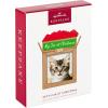 Hallmark Keepsake Christmas Ornament 2024, Pet’s Fur-st Christmas 2024 Photo Frame, Pet Gifts(2024 My Fur-st Christmas)