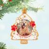 Hallmark Keepsake Christmas Ornament 2024, Pet’s Fur-st Christmas 2024 Photo Frame, Pet Gifts(2025 My Fur-st Christmas)