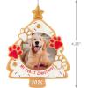 Hallmark Keepsake Christmas Ornament 2024, Pet’s Fur-st Christmas 2024 Photo Frame, Pet Gifts(2025 My Fur-st Christmas)