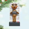 Hallmark Keepsake Christmas Ornament, Festive Feline, Funny Gifts(2025 Ornament)