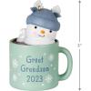 Hallmark Keepsake Christmas Ornament, Great-Granddaughter Cupcake 2025(2023 Great-Grandson)