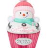 Hallmark Keepsake Christmas Ornament, Great-Granddaughter Cupcake 2025(2025 Great-Granddaughter)