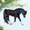 Hallmark Keepsake Christmas Ornament, Welsh Pony Dream Horse, Gifts for Animal Lovers(Welsh Pony Dream Horse)
