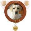 Hallmark Keepsake Christmas Ornament, in Our Hearts to Stay Paw Print Pet Photo Frame, Year-Dated 2025(2025 In Our Hearts to Stay)