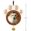 Hallmark Keepsake Christmas Ornament, in Our Hearts to Stay Paw Print Pet Photo Frame, Year-Dated 2025(2025 In Our Hearts to Stay)
