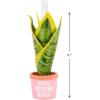 Hallmark You Grow Girl Houseplant Christmas Ornament, Gifts for Her