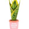 Hallmark You Grow Girl Houseplant Christmas Ornament, Gifts for Her