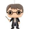 Harry with Wand