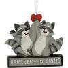 Racoon Partners in Crime