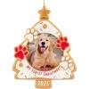 2025 My Fur-st Christmas