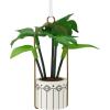 Hanging Plant