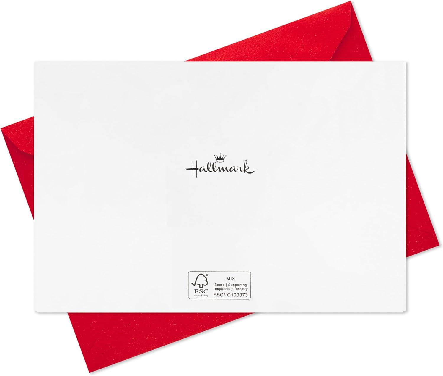 image:imageHallmark Boxed Christmas Cards Painted Cardinal 40 Cards and 40 Envelopes Beautiful Christmas