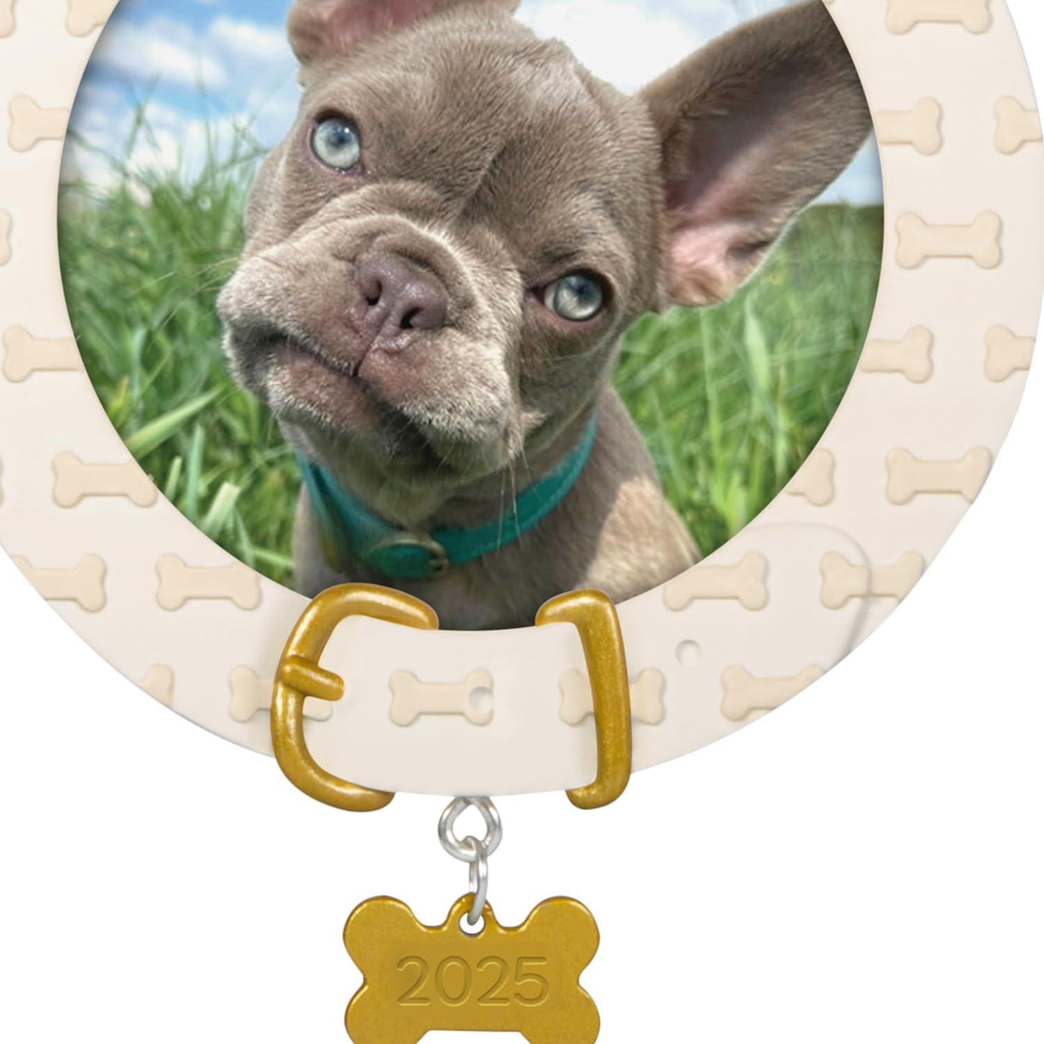 image:imageHallmark Keepsake Christmas Ornament Furry Friend 2025 Photo Frame Pet Gifts2025 Faithful Friend