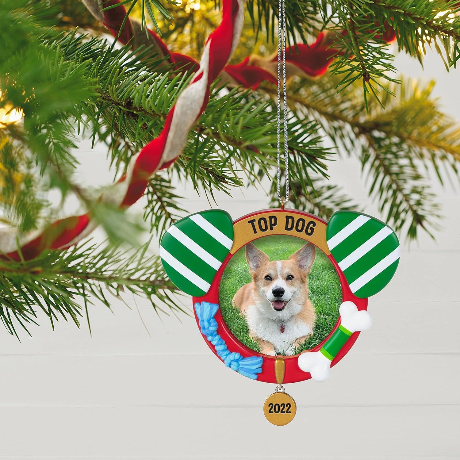 image:imageHallmark Keepsake Christmas Ornament Reindoggie Gifts for Dog Lovers2022 Top Dog
