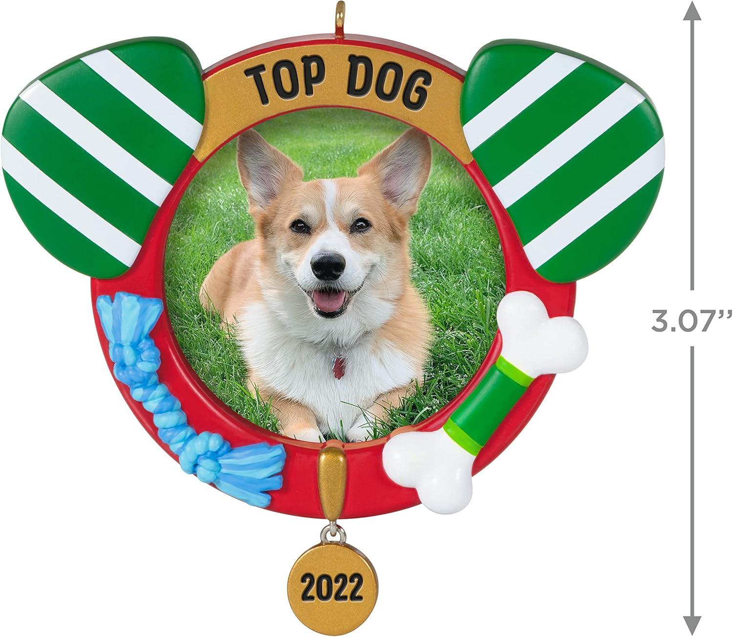 image:imageHallmark Keepsake Christmas Ornament Reindoggie Gifts for Dog Lovers2022 Top Dog