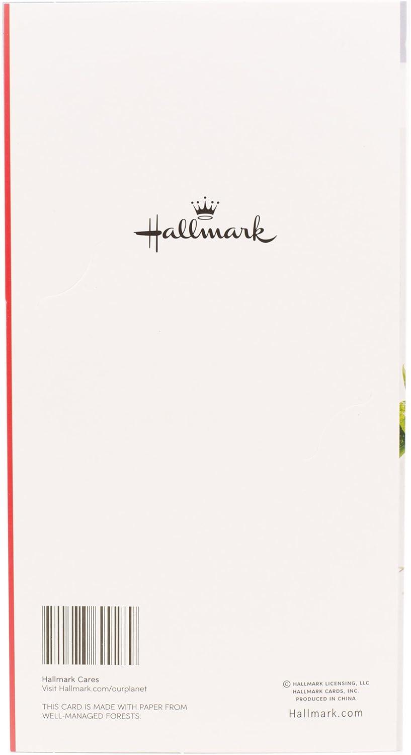 image:imageHallmark Pack of Christmas Money or Gift Card Holders Very Merry 6 Holiday Cards with EnvelopesWreath and Berries
