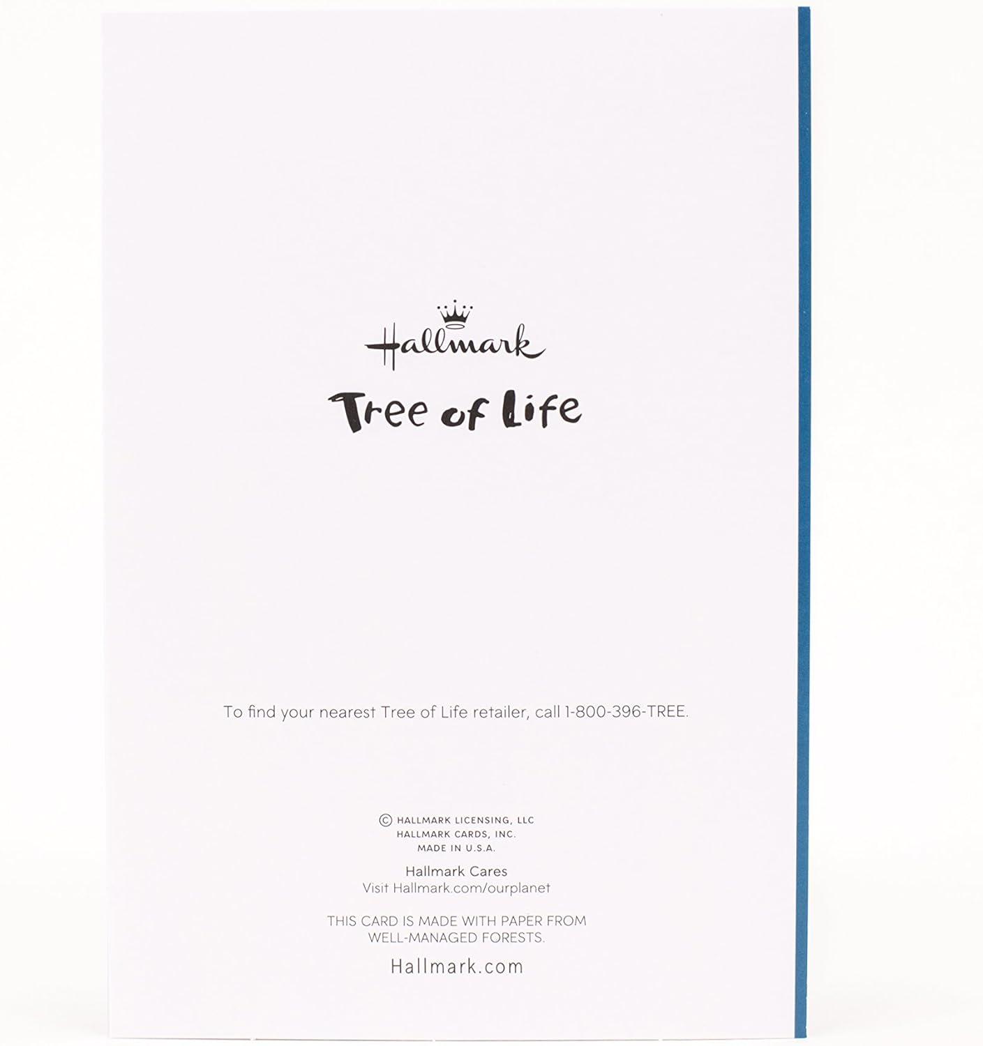 image:imageHallmark Tree of Life Hanukkah Cards Star of David 6 Cards with EnvelopesBlue Menorah Pack of 6