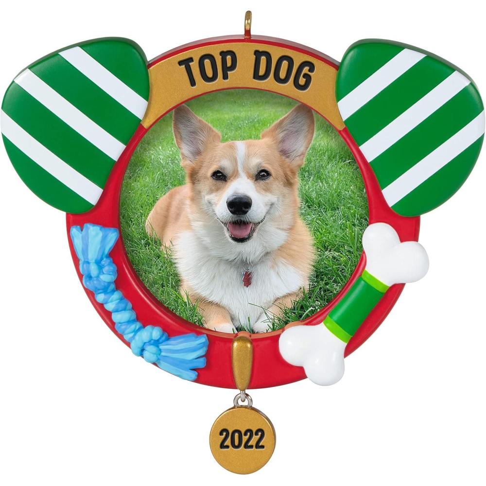 image:imageHallmark Keepsake Christmas Ornament Reindoggie Gifts for Dog Lovers2022 Top Dog