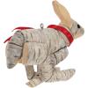 Hallmark Keepsake Christmas Ornament, Birch Penguin, Gifts for Penguin Lovers(Birch Hare)