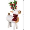 Hallmark Keepsake Christmas Ornament, Birch Penguin, Gifts for Penguin Lovers(Birch Reindeer)