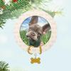Hallmark Keepsake Christmas Ornament, Furry Friend 2025 Photo Frame, Pet Gifts(2025 Faithful Friend)