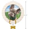 Hallmark Keepsake Christmas Ornament, Furry Friend 2025 Photo Frame, Pet Gifts(2025 Faithful Friend)